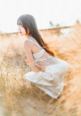 逢迎 瞰雾
