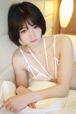 《完美证据》电视剧