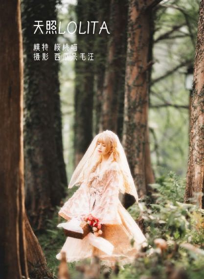 不愉快的果实电视剧