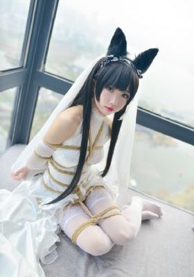 黑帮大佬与我的365天