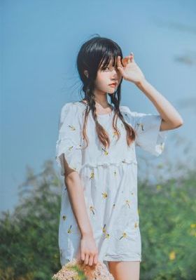 女神异闻录5免费观看