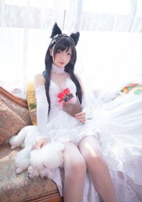 综艺节目大全免费